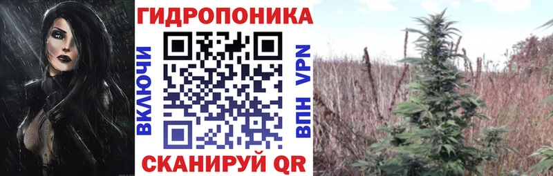 Что такое Гвардейск КОКАИН Альфа ПВП Марихуана ГАШИШ
