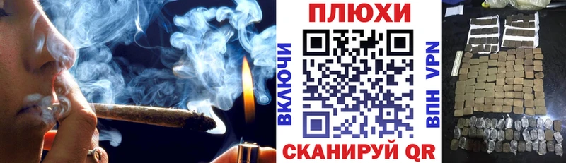где найти Гвардейск Гашиш Ice-O-Lator