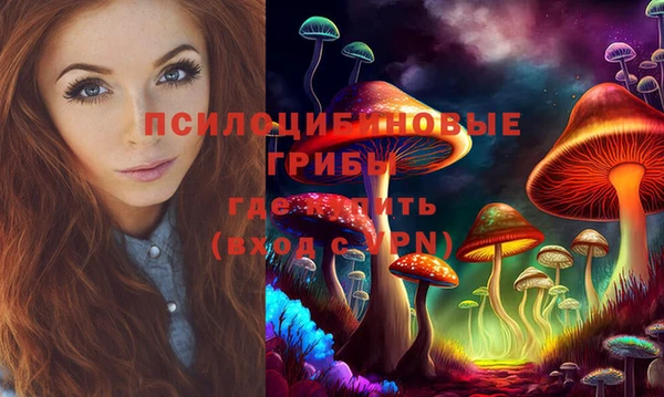 дживик Арсеньев