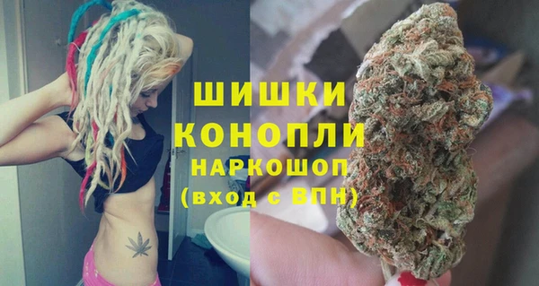 дживик Арсеньев
