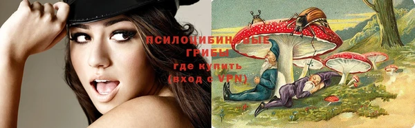 дживик Арсеньев