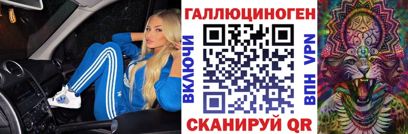 дарнет шоп  Гвардейск  МЕГА ТОР  Галлюциногенные грибы мухоморы 
